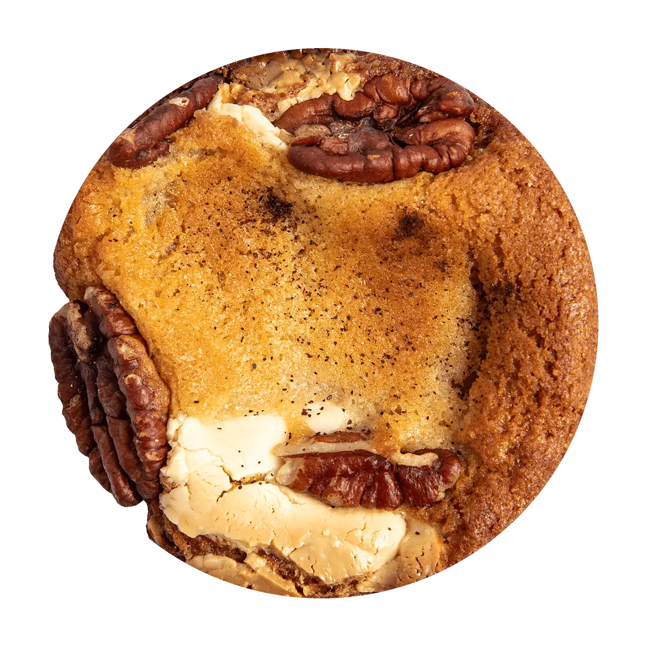Cookie Gelada